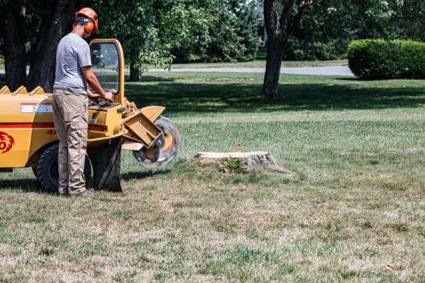 Concrete driveway and sidewalk installation